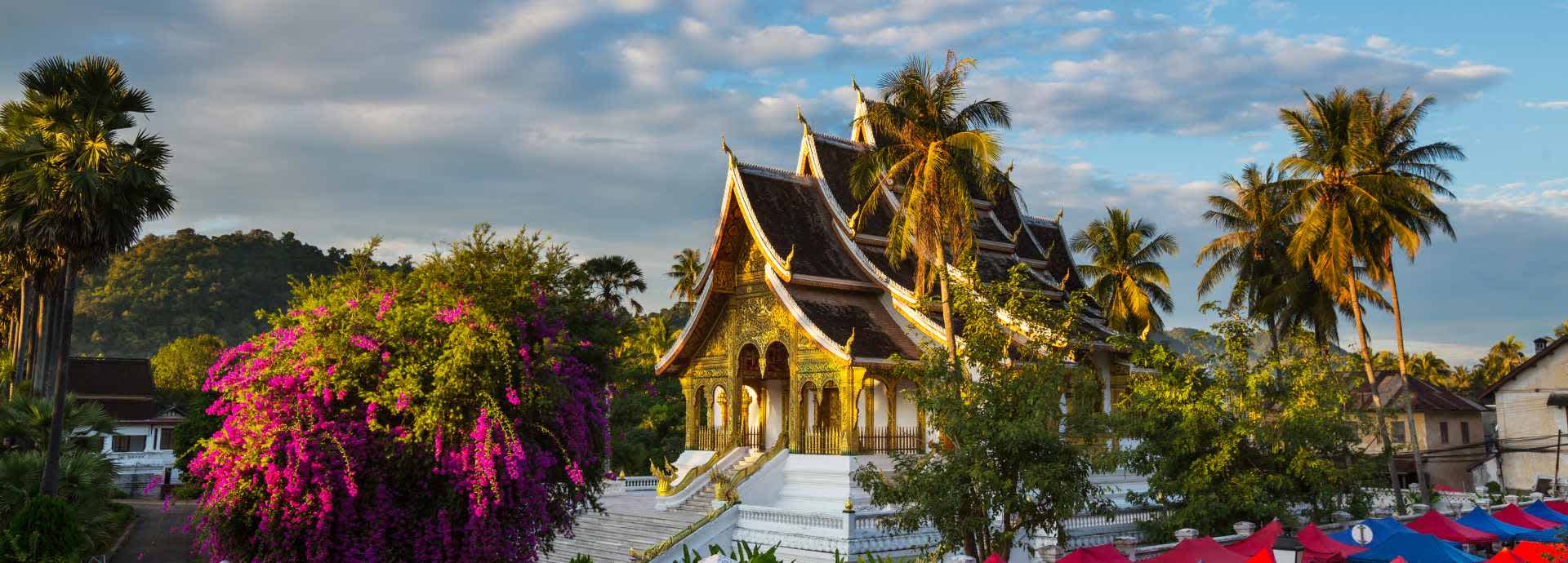 lp-laos-main
