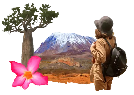 Sapevi che in Tanzania