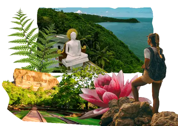 Sapevi che nello Sri Lanka