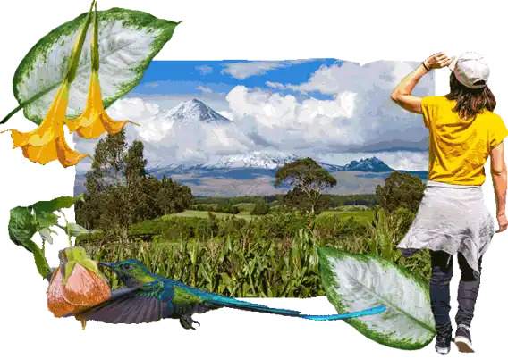 Sapevi che in Ecuador Sapevi che in Ecuador