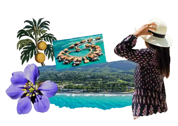 Sapevi che in Giamaica